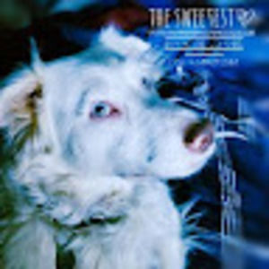 Meet your Posher, Wolfgirlsurvivor